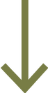 Vector 1 (5).png