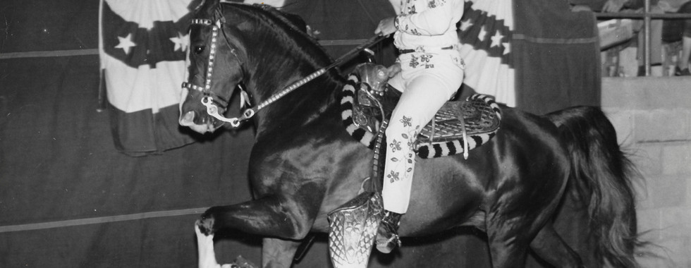 John Dixon and "All Four" competing in a horse show