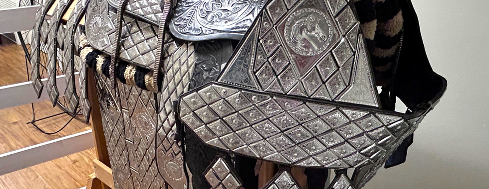 Dixon Show Saddle on exhibit at the Logan Co. Museum