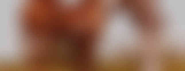 Becky Dixon with "Bear Cat" on their farm