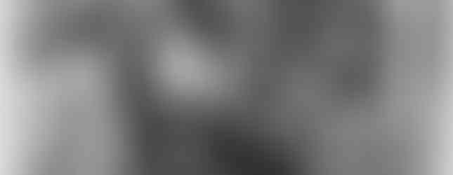 Becky Dixon riding "Taboos Golden Geym"