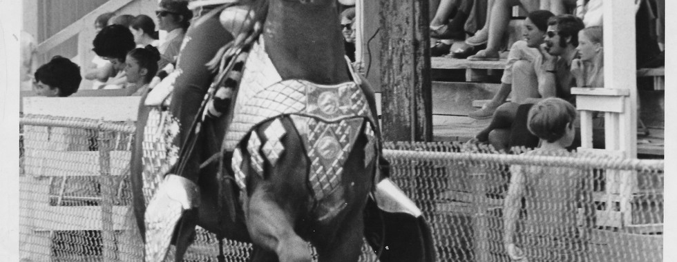 Becky Dixon riding "Taboos Golden Geym"