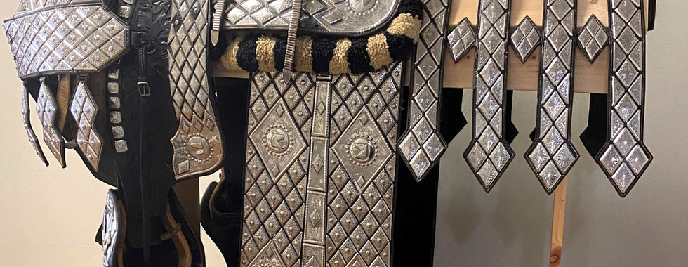 Dixon Show Saddle on exhibit at the Logan Co. Museum