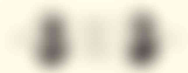 The 1915-1916 Military Affairs House of Representatives 81st General Assembly Ohio