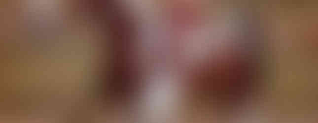 John Dixon riding one of his many show horses