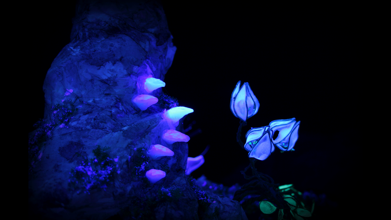 Flower.gif
