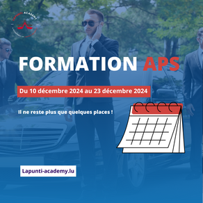 🎄 Clôturez l'année en beauté avec notre dernière formation APS de 2024 !