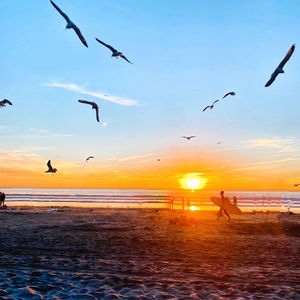 San Diego Landscape