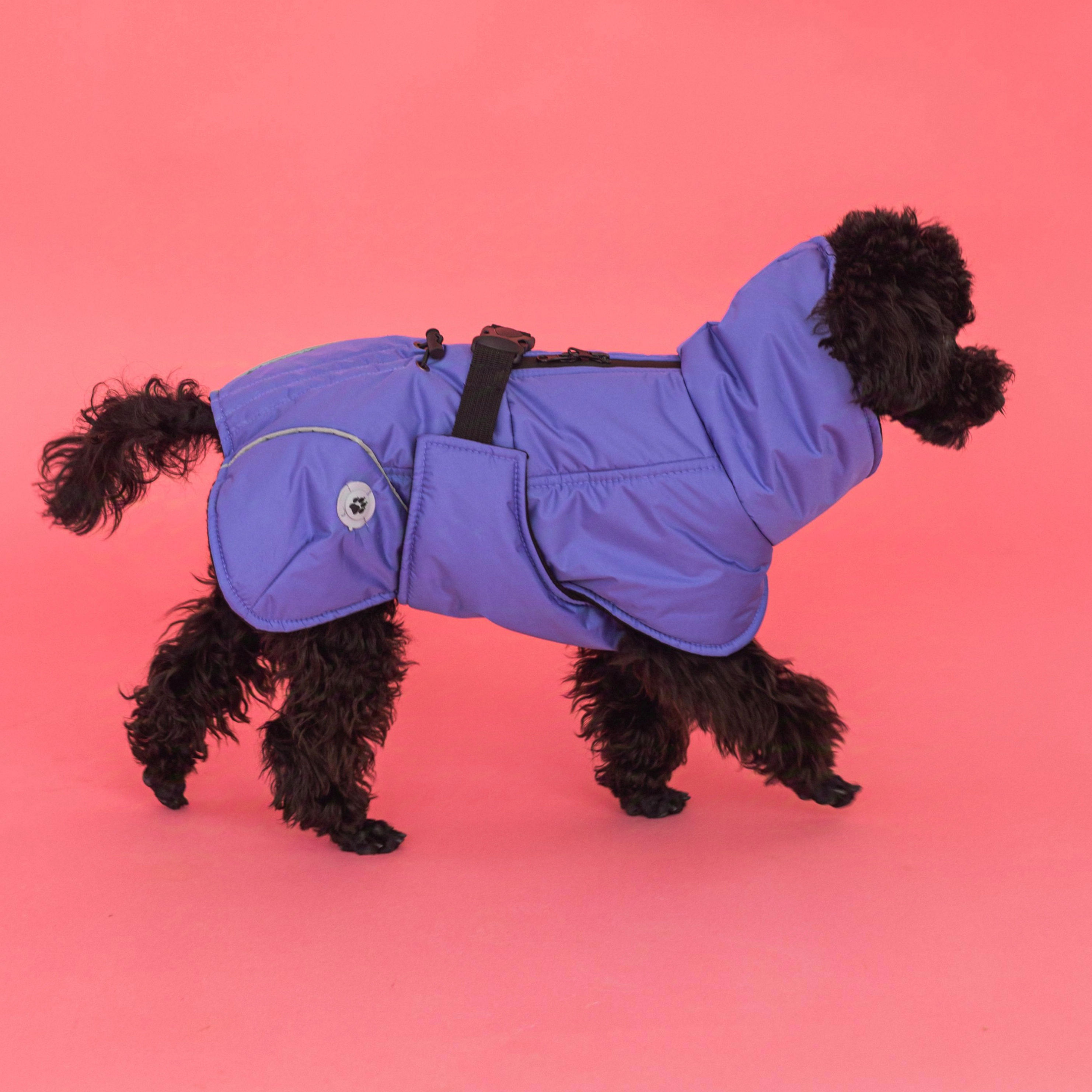 Попон жилет фиолет для собак, размер 12