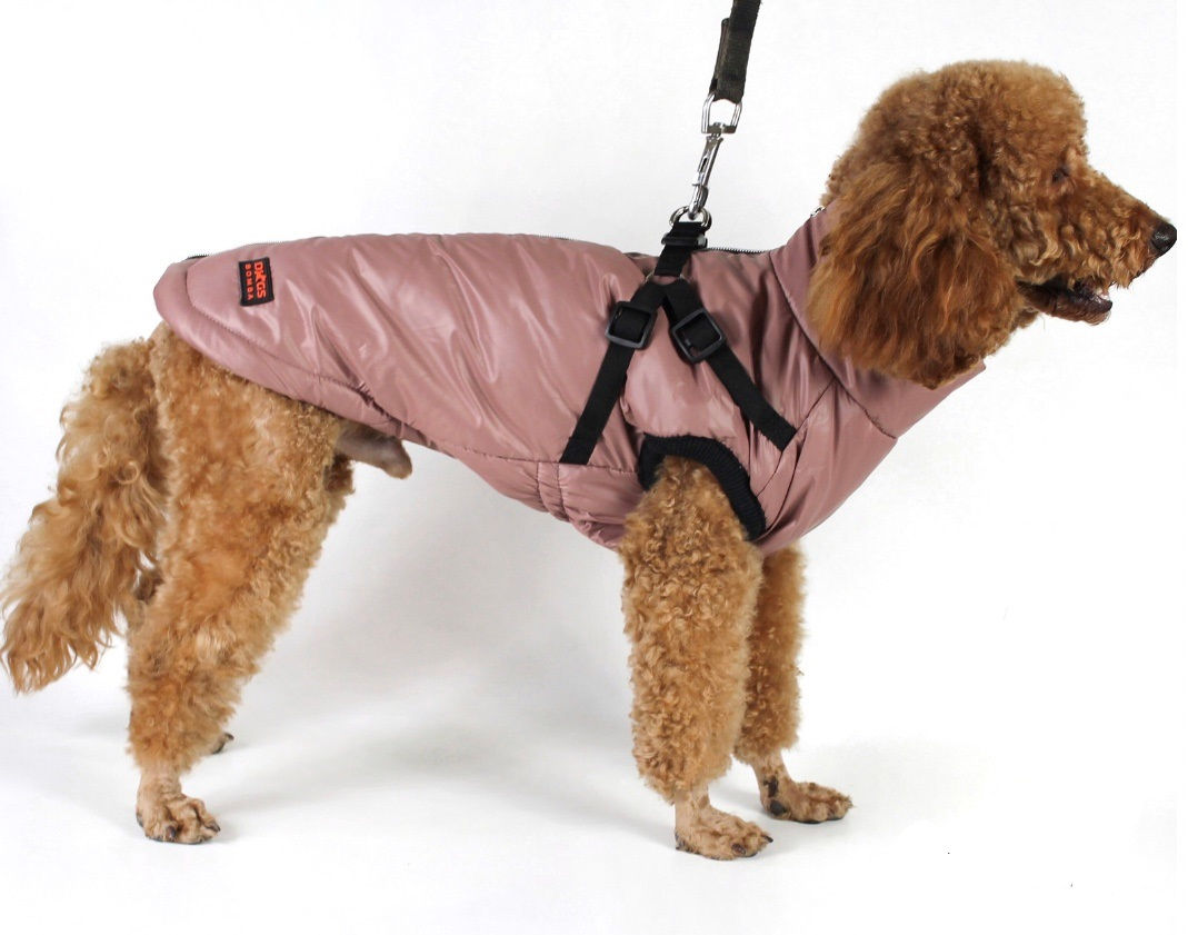 Жилет с шлеей 2 в 1