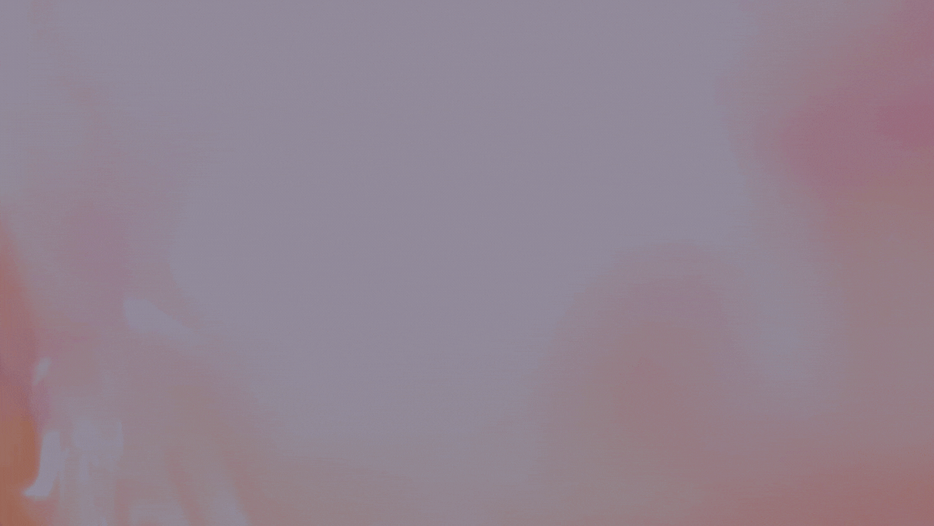 CLASS WEB HEAD.gif
