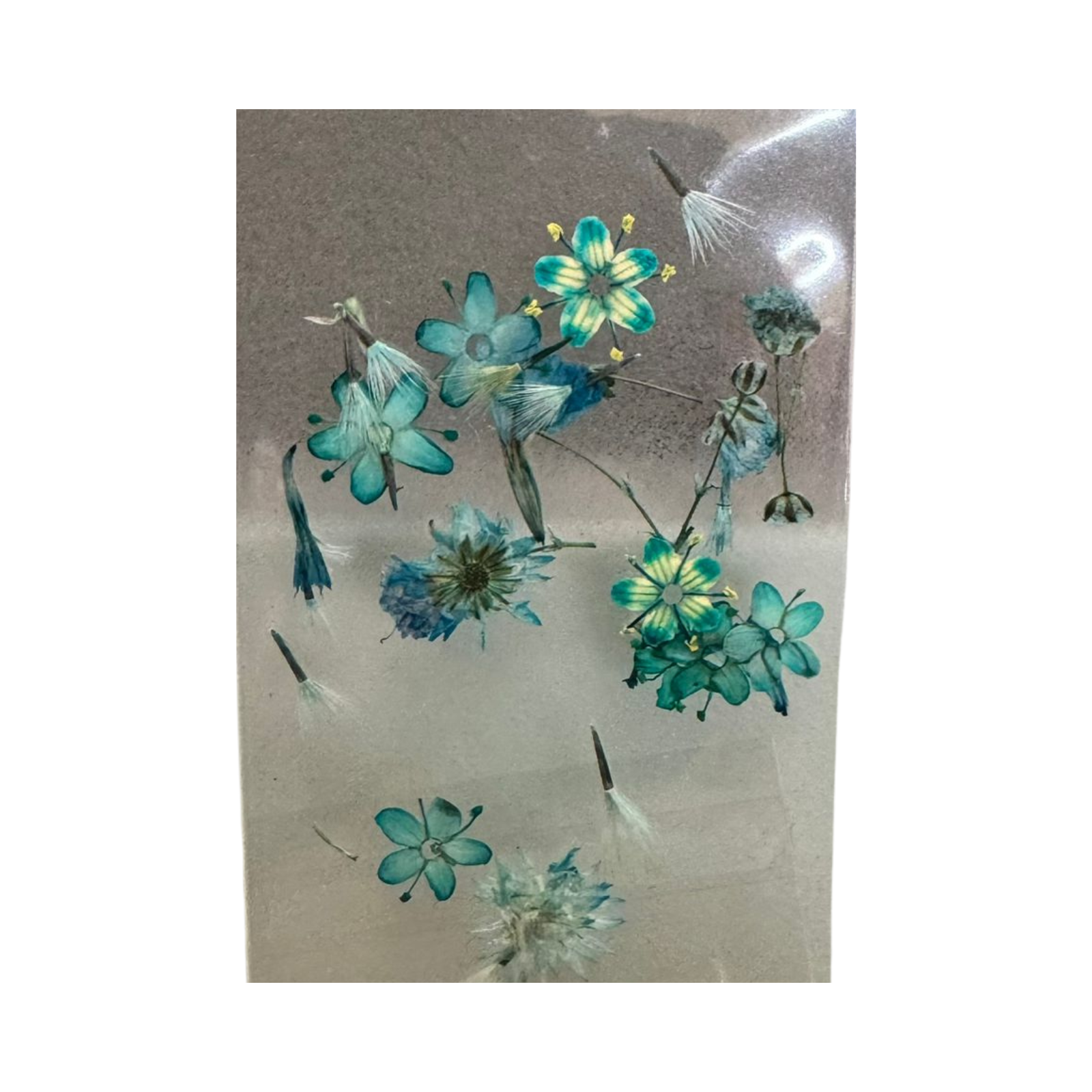 NATURALEZA MUERTA COMBINADA #1