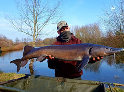 28277244_1631996256896284_4107245611840490145_n