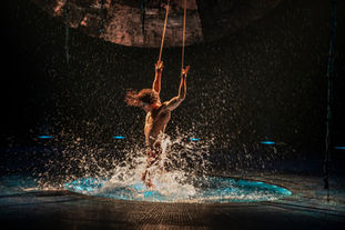 Cirque du Soleil : Luzia.