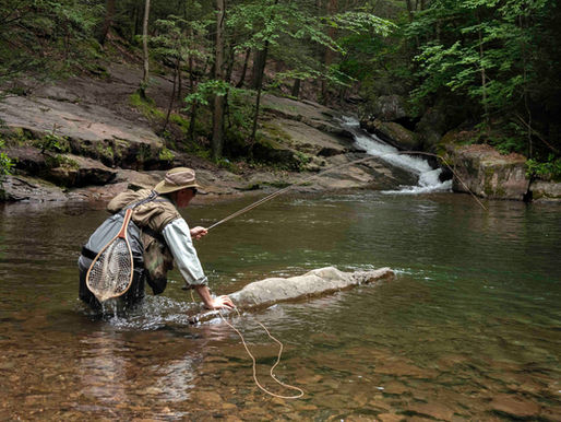 Dances with Trout ...
