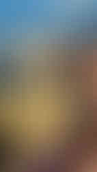 Touching a shark at SeaWorld