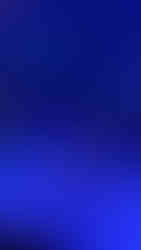 Florida Aquarium Yule Tides sand snowman