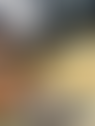 Touching a shark at SeaWorld