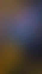 Sea Life Orlando Santa Shark