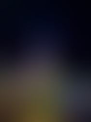 Wekiva Island christmas tree forest