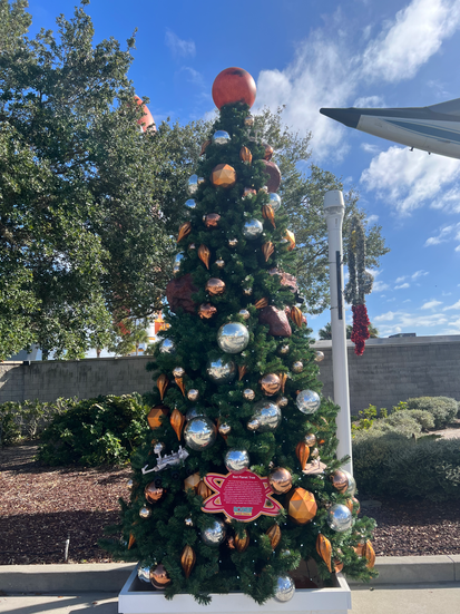 Kennedy Space Center Rocket Tree Trail Tree