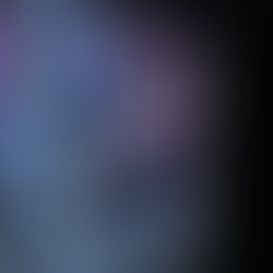 Minerva, the giant pacific octopus