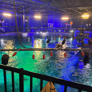 Birdseye view of the aquarium