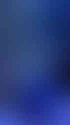 Florida Aquarium Yule Tides christmas tree in tank