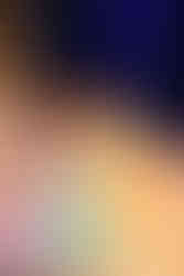 Belle - Royal Gathering Treasure