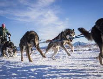 Kristin image 4.jpeg