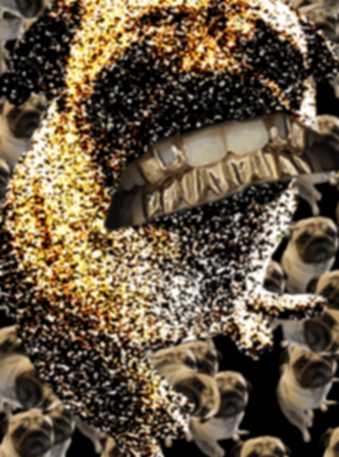 preview.gif