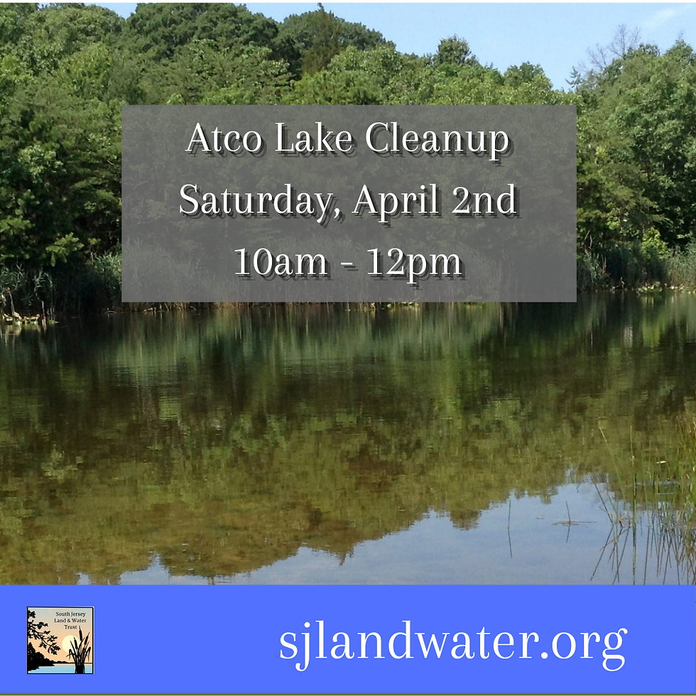 Nature Cleanup at Atco Lake
