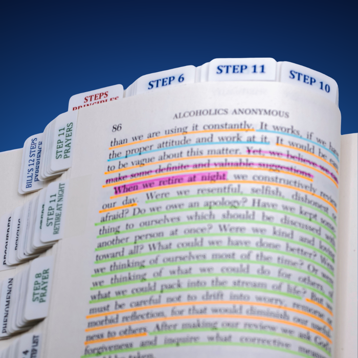 Open Big Book page with color-highlighted text and tabs for Step 6, Step 10 and Step 11
