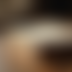 The Meaning Behind AA's 12 & 12