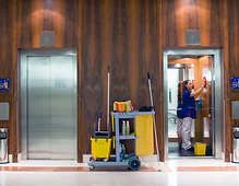 Subtítulo primario.png