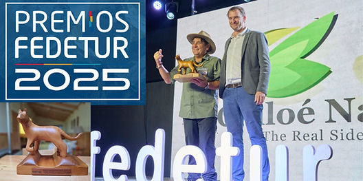 banner premio fedetur.jpg