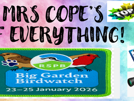 WANTED: SPRING VALE BIRD WATCHERS!