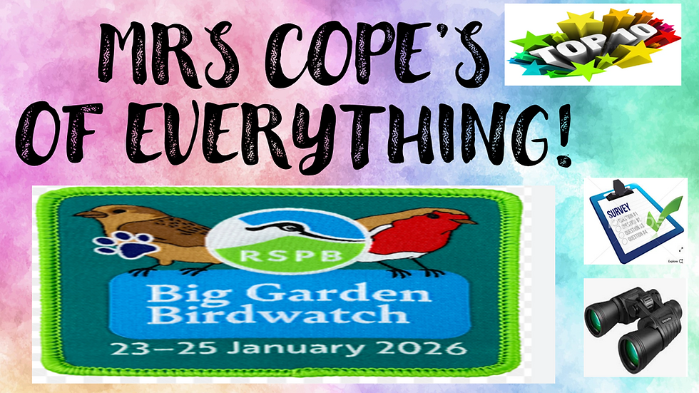 WANTED: SPRING VALE BIRD WATCHERS!