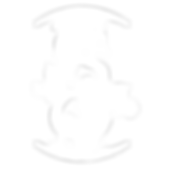 LSD-LOGO.png