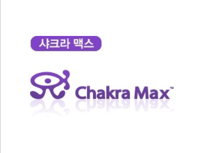 DB접근제어 솔루션
