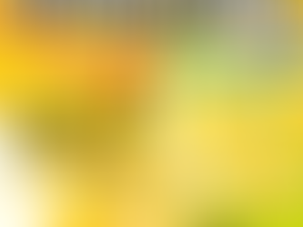 📢 第18回ぬまづ港の街BAR 出店のお知らせ