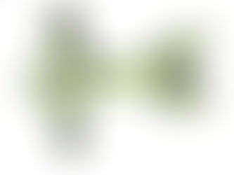 AnnyX-Geschirre in Aktion