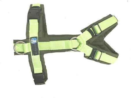 AnnyX-Geschirre in Aktion