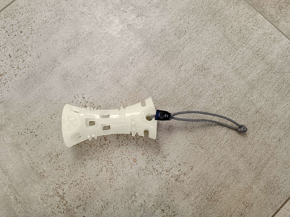 Nachleuchtender Hundeball mit Zerrschlaufe