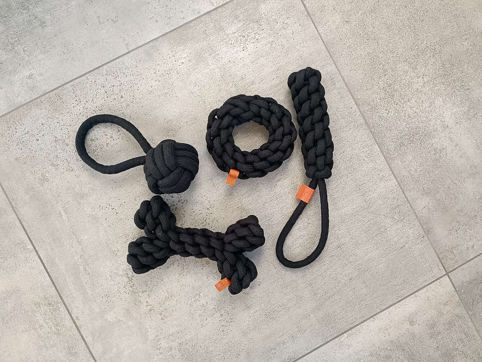 Rangelball Hund Spielzeug