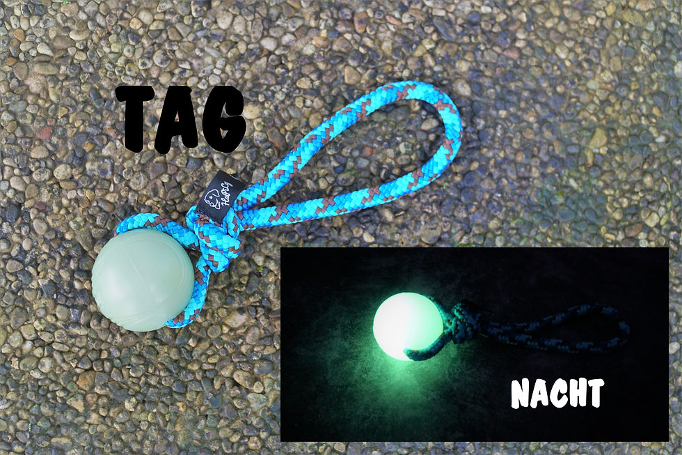 Chuckit! Max Glow am Tau Hundespielzeug