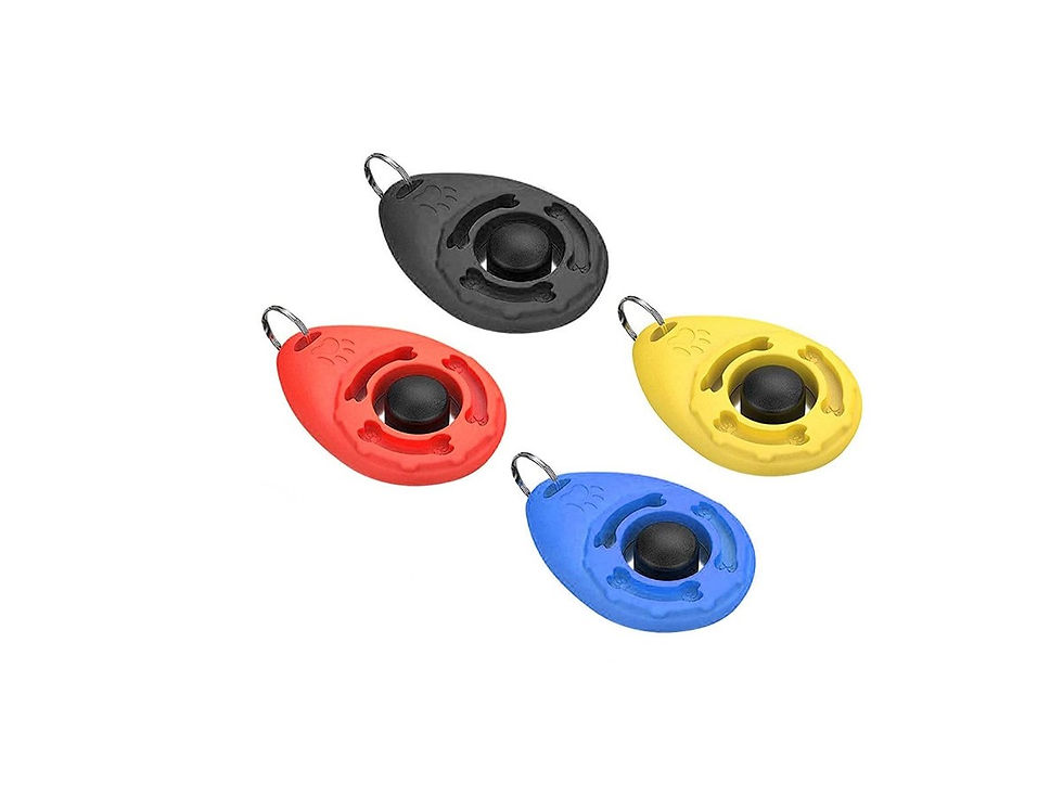 Miniaturbild: Clickerarmband Hundetraining Wunschtext