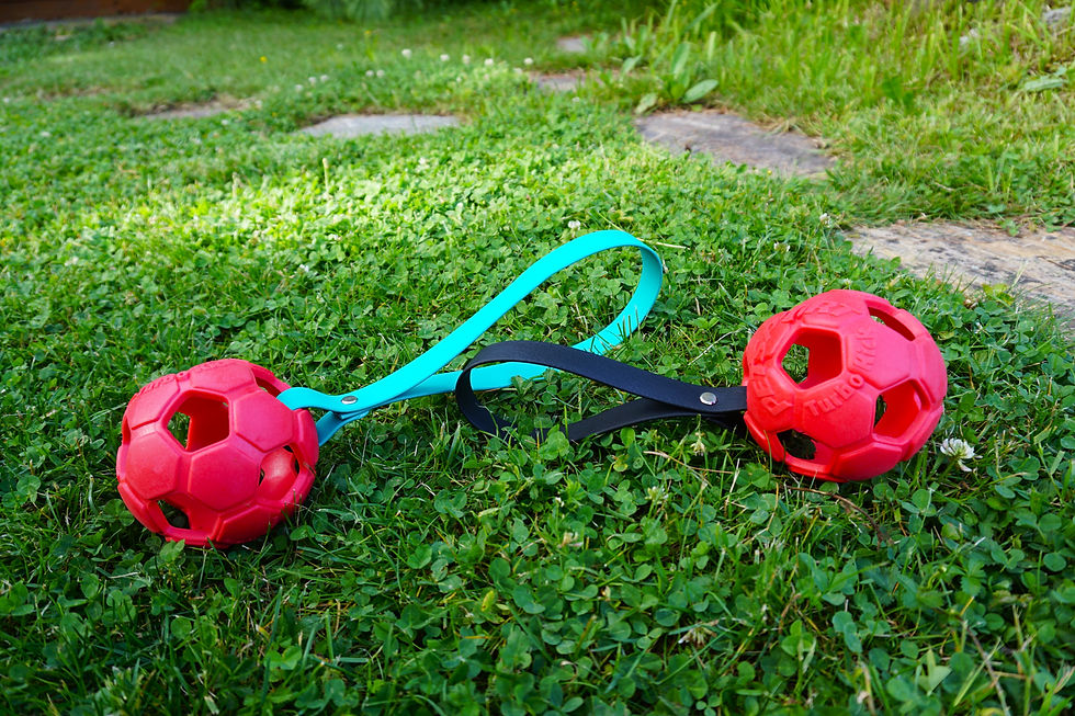 robuster Hundeball mit Zerrschlaufe Hundespielzeug Soccer Ball
