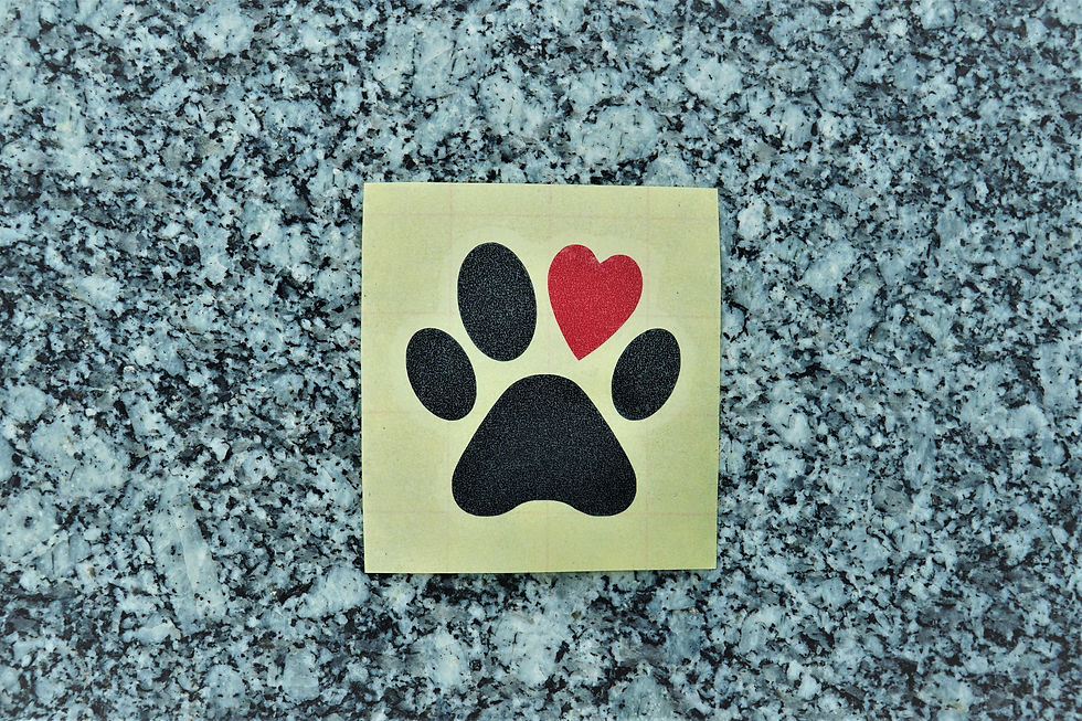 Autoaufkleber Sticker Hund Pfote Wunschtext Name