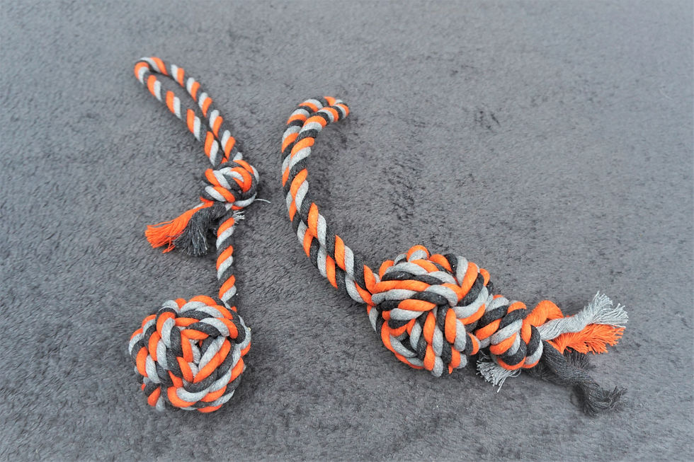 Hundespielzeug Ball Schleuderball